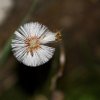 20120623_251